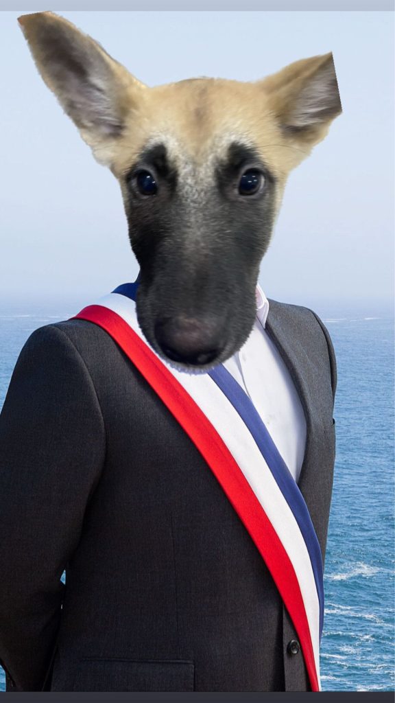       Ringo Ringolio, Capo Máximo